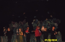 SAM_3774