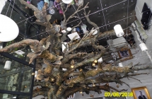 SAM_3753
