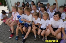 SAM_3952