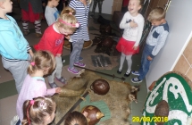 SAM_4179