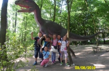 SAM_3689