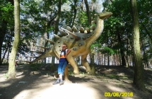 SAM_3688