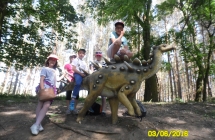 SAM_3690