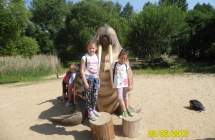 SAM_3703