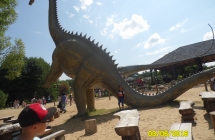 SAM_3707