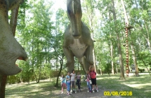 SAM_3711