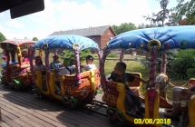 SAM_3716