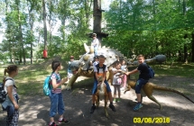 SAM_3712