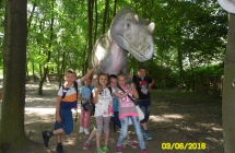 SAM_3691