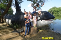 SAM_3706