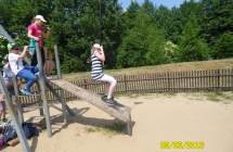 SAM_3731