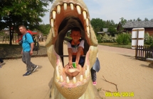 SAM_3742