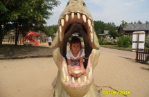 SAM_3740
