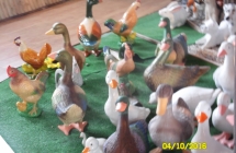 SAM_4206