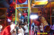 SAM_4229