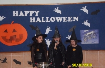 SAM_4354