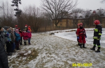 SAM_4649