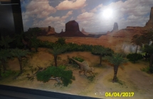 SAM_5041