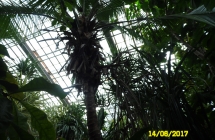 SAM_5317