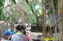SAM_5319
