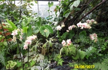 SAM_5321