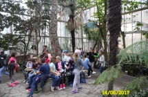 SAM_5335
