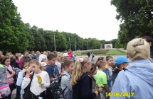 SAM_5338