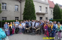 SAM_5355