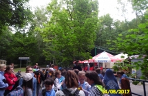 SAM_5382