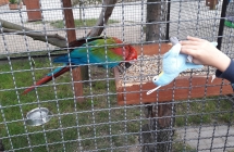 20170613_150759
