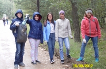 SAM_5522