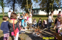 SAM_5541