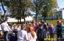 SAM_5539