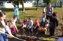 SAM_5545