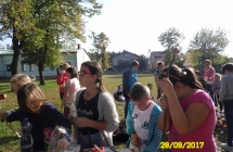 SAM_5544
