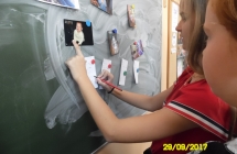 SAM_5584