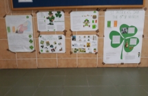 zielony7