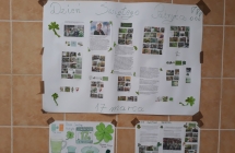 zielony6